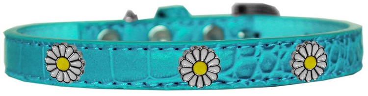 White Daisy Widget Croc Dog Collar Turquoise Size 16